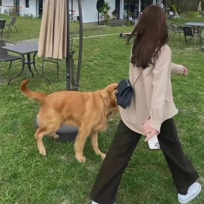去野吧!毛孩子